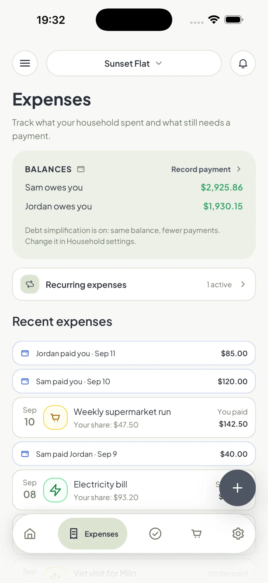 Shared expenses in Homio, with each person's balance and who owes whom